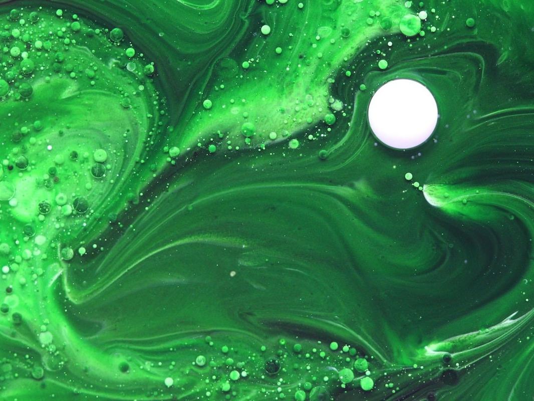 Paints Pinturas Pintures
