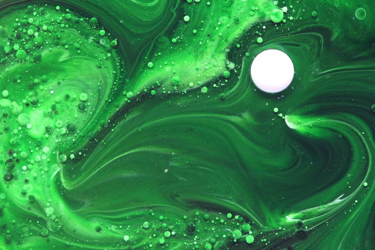 Paints Pinturas Pintures